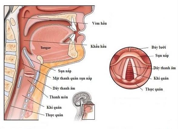 Ossiculoplasty